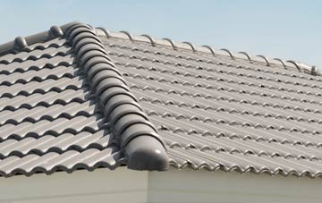 advantages of Walditch clay roofing