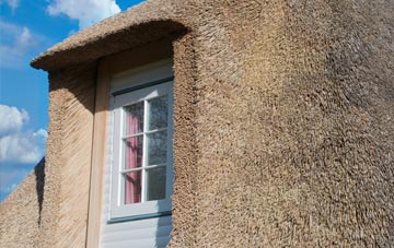 Walditch thatch roof disadvantages
