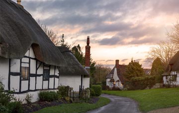 is Walditch thatch roofing popular