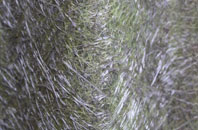 Walditch fibreglass roof work