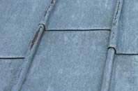 find rated Walditch lead roofing companies