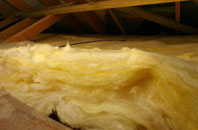Walditch pitch roof insulation