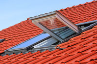 Walditch roof window